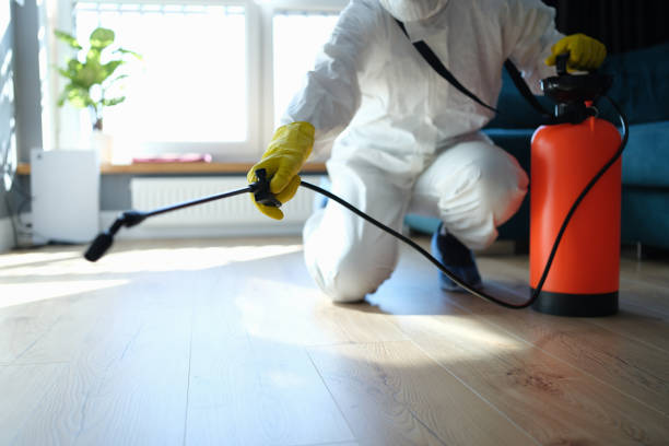 Reliable Blood Cleanup contractor in Clifton, AZ by Trauma Clean Pros
